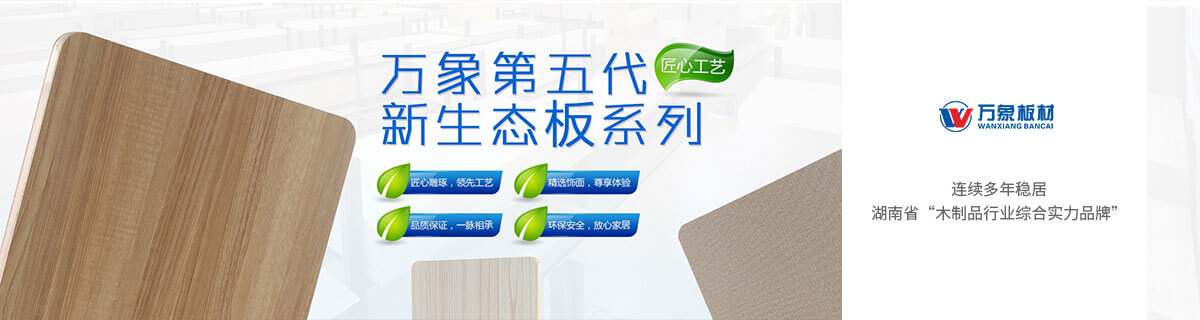 娄底千思装饰防水涂料采用进口瑞士西卡